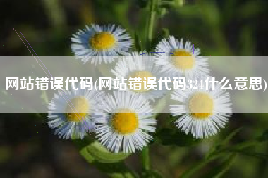 网站错误代码(网站错误代码324什么意思)