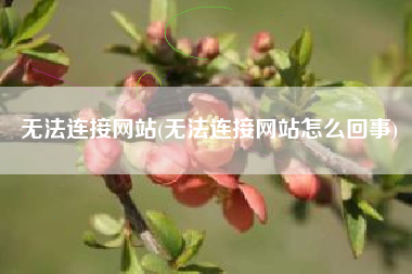 无法连接网站(无法连接网站怎么回事)