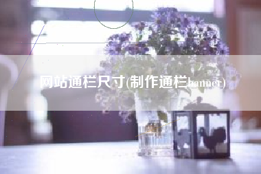 网站通栏尺寸(制作通栏banner)