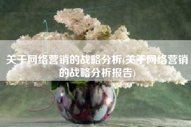 关于网络营销的战略分析(关于网络营销的战略分析报告)