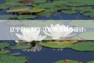 辽宁网站制作(沈阳网页制作设计)