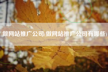做网站推广公司(做网站推广公司有哪些)