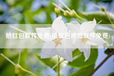 抢红包软件免费(抢红包神器软件免费)