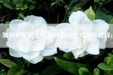 如何把网站上线(网站如何上线发布过程)