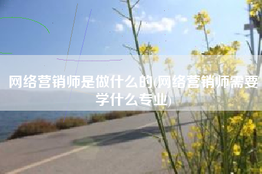 网络营销师是做什么的(网络营销师需要学什么专业)