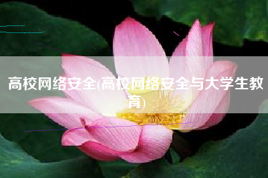 高校网络安全(高校网络安全与大学生教育)