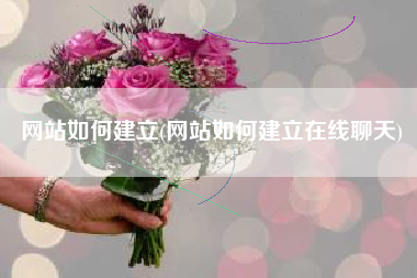 网站如何建立(网站如何建立在线聊天)
