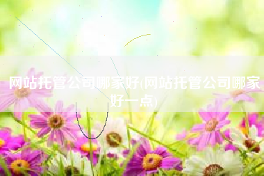网站托管公司哪家好(网站托管公司哪家好一点)