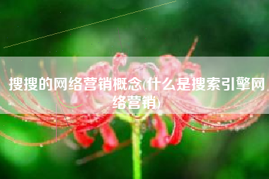 搜搜的网络营销概念(什么是搜索引擎网络营销)