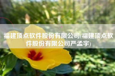 福建顶点软件股份有限公司(福建顶点软件股份有限公司严孟宇)