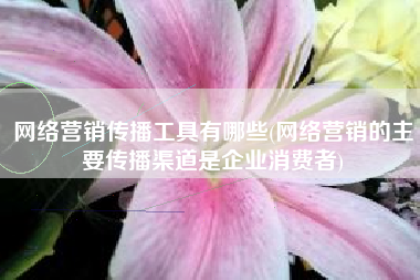 网络营销传播工具有哪些(网络营销的主要传播渠道是企业消费者)