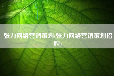 张力网络营销策划(张力网络营销策划招聘)