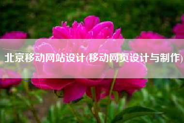 北京移动网站设计(移动网页设计与制作)
