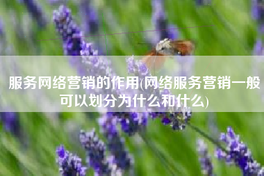 服务网络营销的作用(网络服务营销一般可以划分为什么和什么)