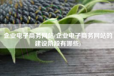 企业电子商务网站(企业电子商务网站的建设阶段有哪些)