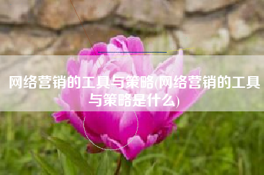 网络营销的工具与策略(网络营销的工具与策略是什么)