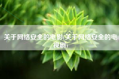 关于网络安全的电影(关于网络安全的电视剧)