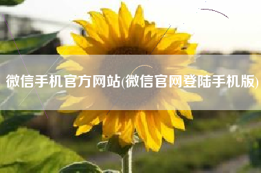 微信手机官方网站(微信官网登陆手机版)