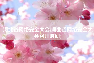 河北省网络安全大会(河北省网络安全大会召开时间)