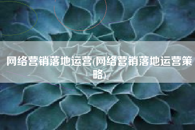 网络营销落地运营(网络营销落地运营策略)