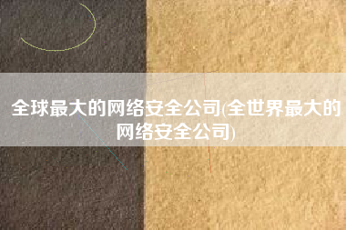 全球最大的网络安全公司(全世界最大的网络安全公司)