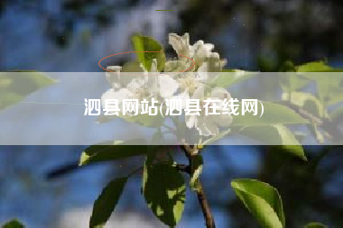 泗县网站(泗县在线网)