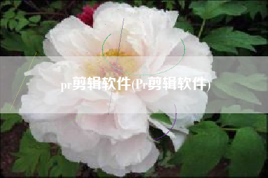 pr剪辑软件(Pr剪辑软件)