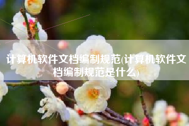 计算机软件文档编制规范(计算机软件文档编制规范是什么)