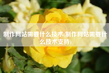 制作网站需要什么技术(制作网站需要什么技术支持)