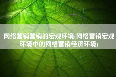 网络营销营销的宏观环境(网络营销宏观环境中的网络营销经济环境)