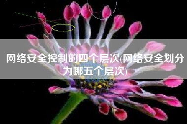 网络安全控制的四个层次(网络安全划分为哪五个层次)