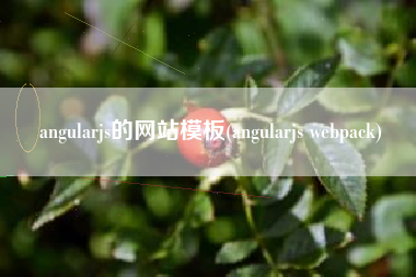 angularjs的网站模板(angularjs webpack)