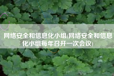网络安全和信息化小组(网络安全和信息化小组每年召开一次会议)