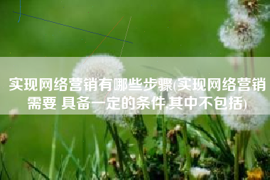 实现网络营销有哪些步骤(实现网络营销需要 具备一定的条件,其中不包括)