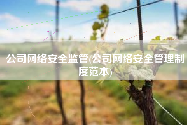 公司网络安全监管(公司网络安全管理制度范本)
