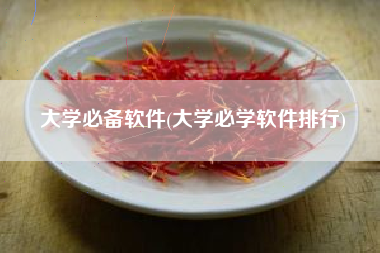 大学必备软件(大学必学软件排行)