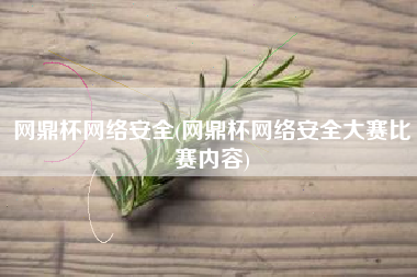 网鼎杯网络安全(网鼎杯网络安全大赛比赛内容)