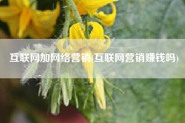 互联网加网络营销(互联网营销赚钱吗)