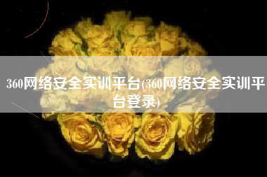 360网络安全实训平台(360网络安全实训平台登录)