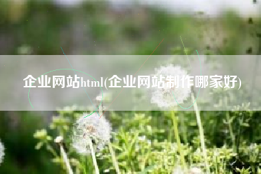 企业网站html(企业网站制作哪家好)