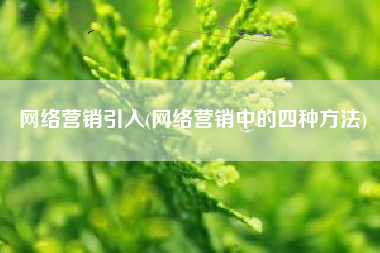 网络营销引入(网络营销中的四种方法)