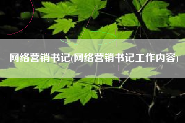 网络营销书记(网络营销书记工作内容)