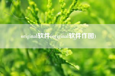original软件(original软件作图)