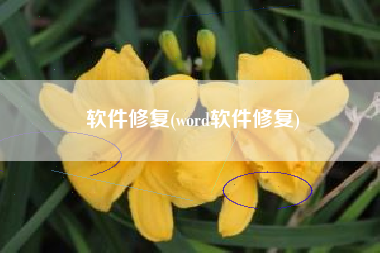 软件修复(word软件修复)