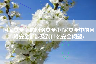 国家安全下的网络安全(国家安全中的网络安全都涉及到什么安全问题)