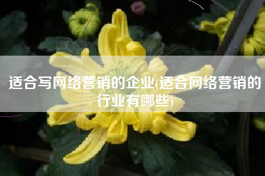 适合写网络营销的企业(适合网络营销的行业有哪些)