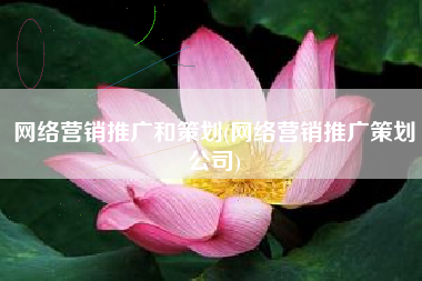 网络营销推广和策划(网络营销推广策划公司)