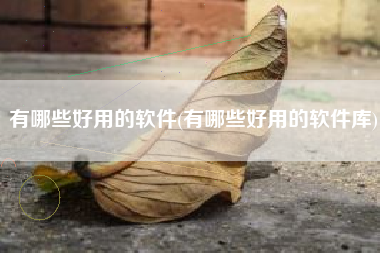 有哪些好用的软件(有哪些好用的软件库)