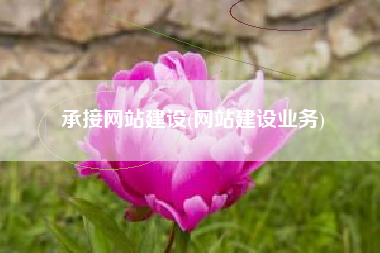 承接网站建设(网站建设业务)
