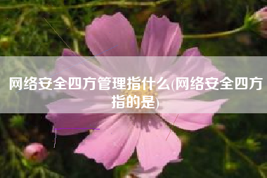 网络安全四方管理指什么(网络安全四方指的是)